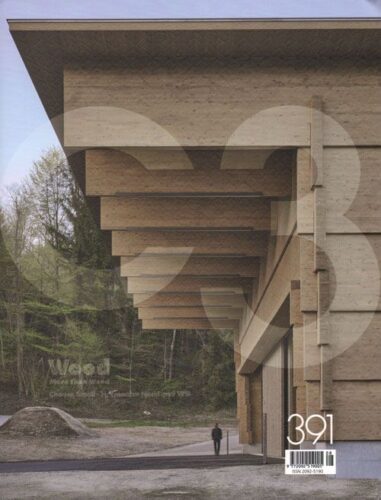 C3 391 - WOOD, More Than Wood. Choopse Small - Harmonise Need And Will