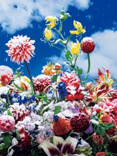 Mika Ninagawa - Eternity in a Moment Vol 1