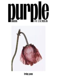 Purple 44 - The Analog Issue