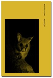 Felix Wilson - Nocturnal Ecologies