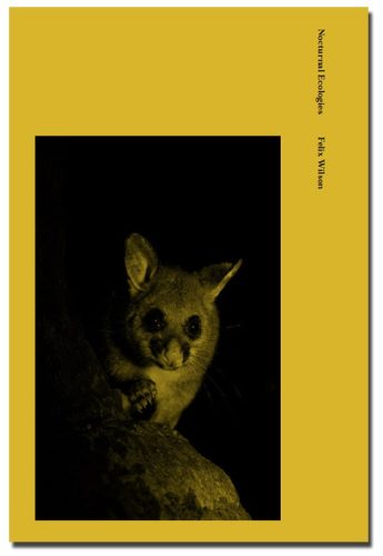 Felix Wilson - Nocturnal Ecologies