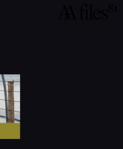AA Files - 81