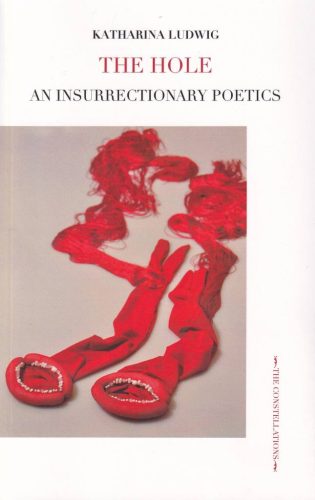 Katharina Ludwig - The Hole. An Insurrectionary Poetics