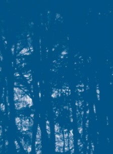 Chikako Yamashiro - Chinbin Western