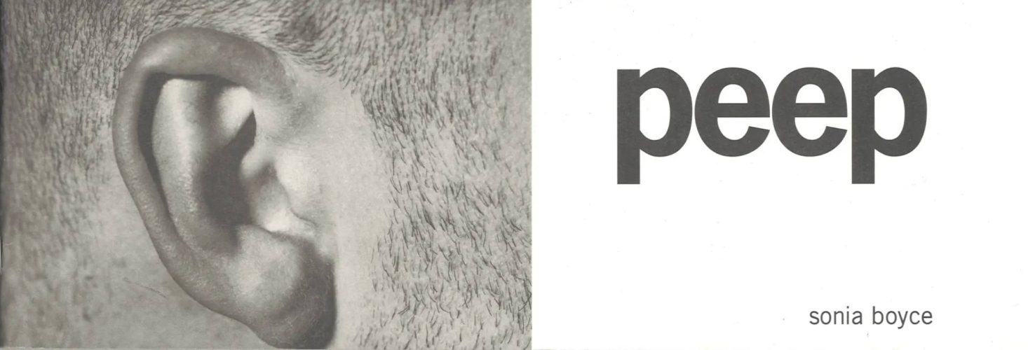 Sonia Boyce - Peep