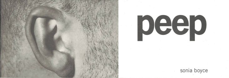 Sonia Boyce - Peep