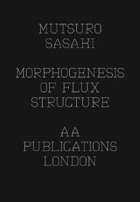 Matsuro Sasaki - Morphogenesis Of Flux Structure