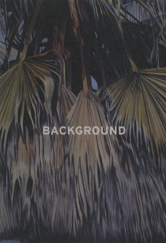 Eberhard Havekost - Background