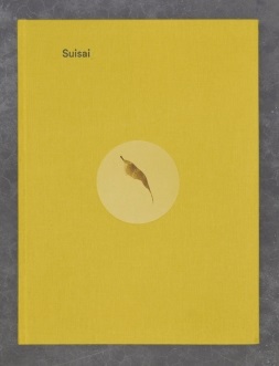 Gabriel Orozco - Suisai