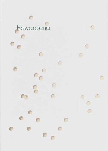 Howardena Pindell - Howardena