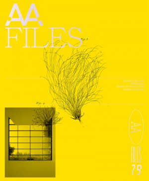 AA Files - 79