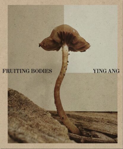 Ying Ang - Fruiting Bodies