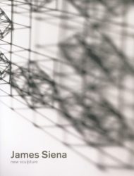 James Siena - New Sculptures