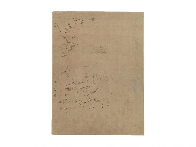 Brice Marden - Sketchbook