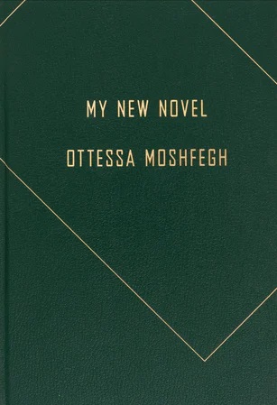 My New Novel / The Down Payment by Ottessa Moshfegh, artwork by Issy Wood