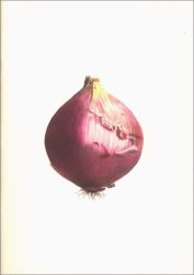Notebook Plants and Vegetables