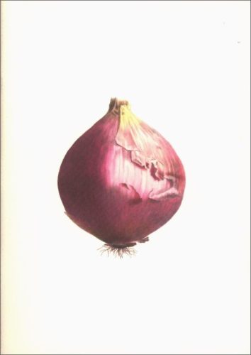 Notebook Plants and Vegetables