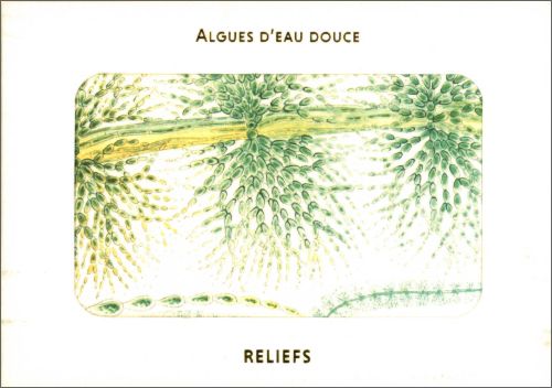 British Fresh-Water Algae (1882-1884): Postcards