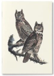 Notebook Birds of America