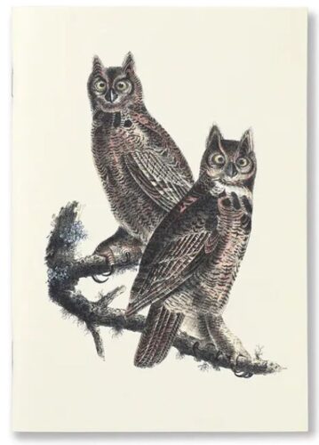 Notebook Birds of America