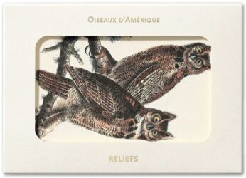 Birds of America Postcards 1827-1838
