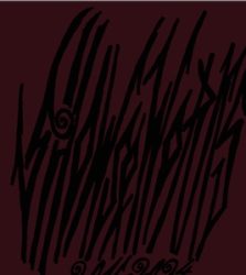 Tobias Spichtig - Shows and Works 2016 - 2024