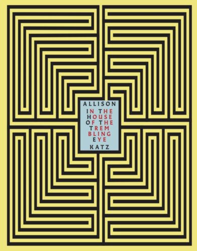 Allison Katz - In the House of the Trembling Eye