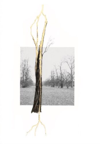Giuseppe Penone - Thoughts in the Roots