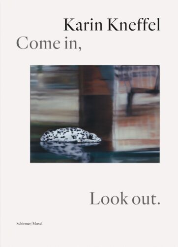 Karin Kneffel - Come in, Look out