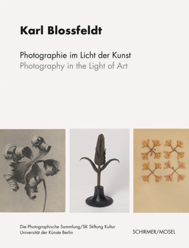 Karl Blossfeldt - Photography in the Light of Art