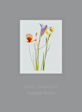 Robert Zahornicky - POLAROID POEMS