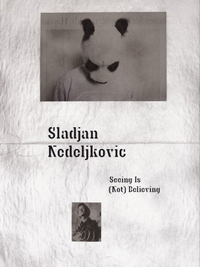 Sladjan Nedeljkovic - Seeing Is (Not) Believing