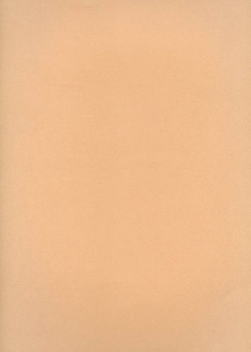 Christopher Wool - Swamp (signed)