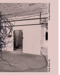 Christopher Wool - See Stop Run