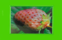 Mika Ninagawa - A Piece Of Heaven