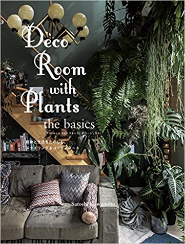 Deco Room With Plants - The Basics