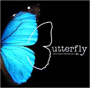 Butterfly - 100 Royalty Free jpeg Files