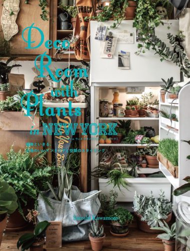 Deco Room With Plants New York