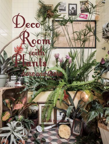 Deco Room With Plants Here And There