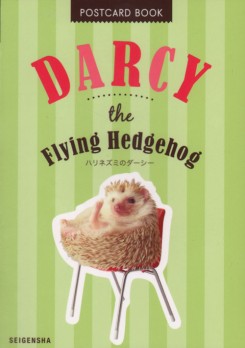 Darcy The Flying Hedgehog Postcard Book