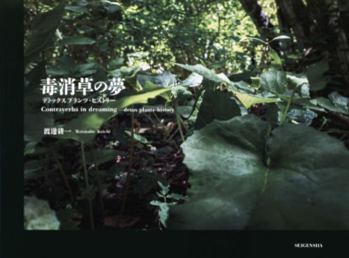 Watanabe Koichi - Contrayerba in Dreaming - detox plants-history
