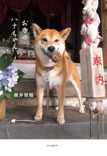 Hana-Chan of the Temple