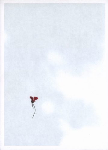 Keita Noguchi - Flower