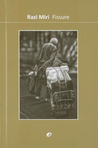 Razi Miri - Fissure