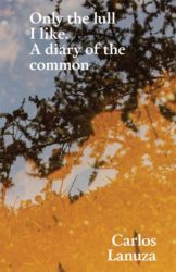 Only the lull I like - A diary of the common.