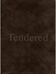 Karimah Ashadu - Tendered