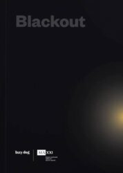 Blackout - Allora & Calzadilla