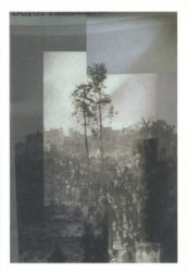 Rob Johannesma - In Dark Trees