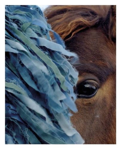 Charlotte Dumas - Ao (Blue)