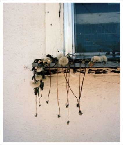 Wytske van Keulen - Stick Holding Branch